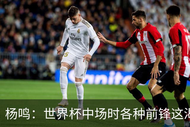 杨鸣：世界杯中场时各种前锋这渴了那饿了全来了 谁能记住后卫呢